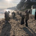 hamsi yolu temizliği