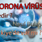 corona-virus