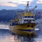 81b9d31e-7fc3-453c-bf1c-5b20f042a8ae