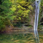 5d6cec772269a22840585824