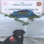 20200817_sinop-ta-uyusturucu-operasyonu
