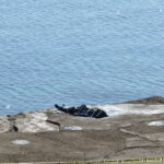 SİNOP SAHİLİNDE CESET BULUNDU