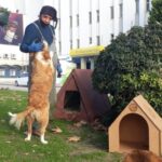 20210104_sinop-ta-sokak-hayvanlari-bu-kis-usumeyecek