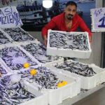 sinop-ta-hamsinin-kilosu-10-liraya-dustu_b17e4