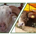 GridArt_20220623_220047993