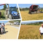 GridArt_20220919_164421338