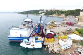 KARADENİZLİ BALIKÇILAR 1 EYLÜL'E HAZIR