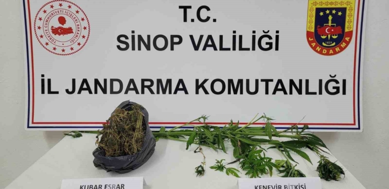 Sinop’ta uyuşturucu operasyonu