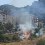 Boyabat Kolaz Çayı Yangın