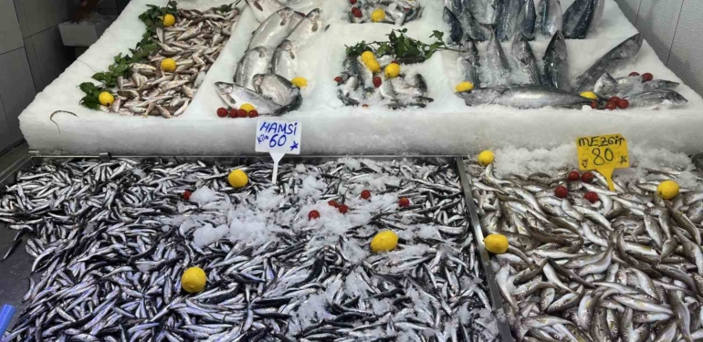 Sinop’ta hamsi tezgaha geldi