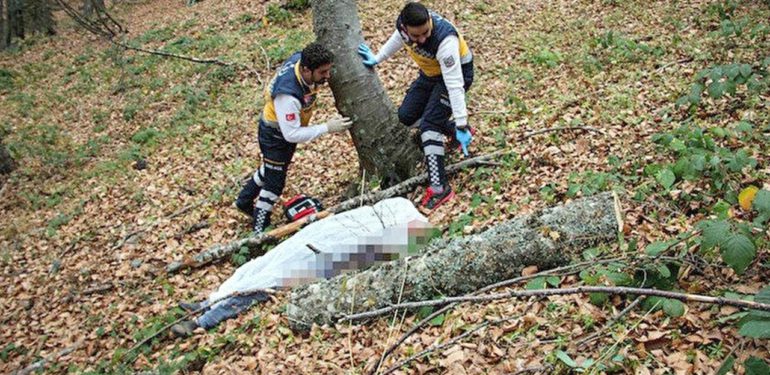 Sinop’ta kestiği ağaç üzerine devrilen kişi yaşamını yitirdi