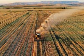 806x378-ekilmeyen-arazi-birakilmayacak-22-yilin-ardindan-tarim-sayimi-yapilacak-iste-ciftcilere-yonelik-yeni-donemin-d-1692078439201