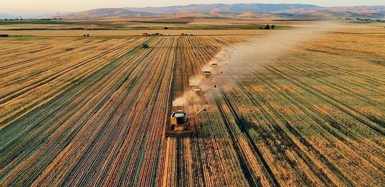 Tarım Bakanlığı planlı üretim için ilk adımı attı! Tarım sayımı yapılacak