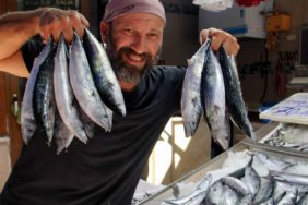 sinop-palamut-bereketi-h2378623