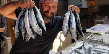 sinop-palamut-bereketi-h2378623