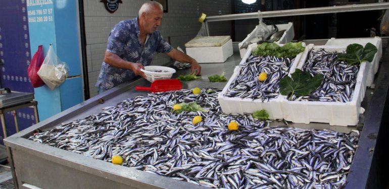 Sinop’ta hamsi bereketi: Peki kaç lira?