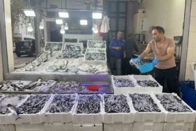 SİNOP HAMSİSİ 40 LİRAYA DÜŞTÜ