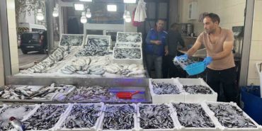 SİNOP HAMSİSİ 40 LİRAYA DÜŞTÜ