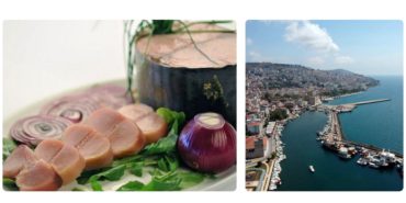 GridArt_20231003_210355740