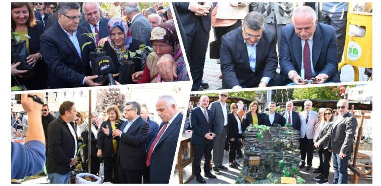 Erfelek’te vatandaşlara kestane fidanı dağıtıldı