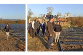 GridArt_20231020_224618420