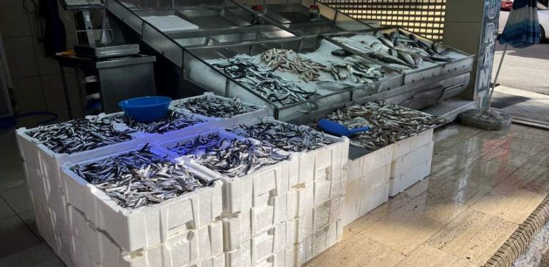 Sinop hamsisi azaldı, fiyatı yükseldi