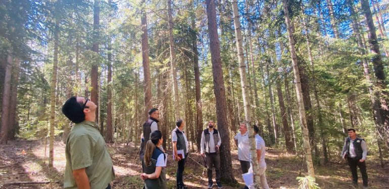 Boyabat’ta ormanların genetik çeşitliğini korumak amacıyla denetimler yapıldı