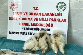 whatsapp-image-2023-10-21-at-125318