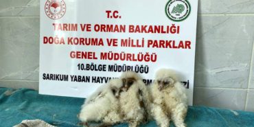 whatsapp-image-2023-10-21-at-125318