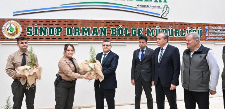 Sinop’ta 100 bin fidan toprakla buluşacak