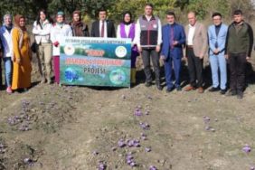 FB_IMG_1700170039727