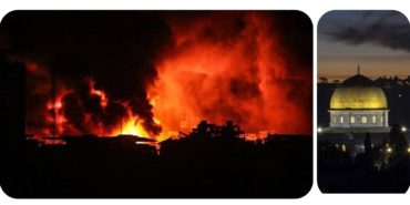 GridArt_20231108_193623007