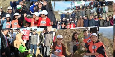 GridArt_20231111_172556181