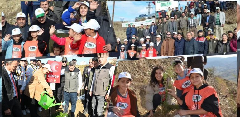 Sinop’ta 57 noktada 100 bin fidan dikildi