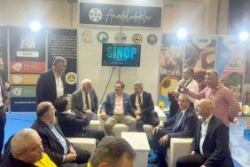 yoraks-91d1-fb86344bf137