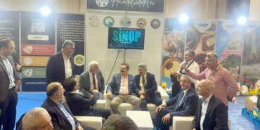 yoraks-91d1-fb86344bf137