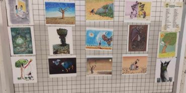 370291499_319855714310967_2129053197207580848_n