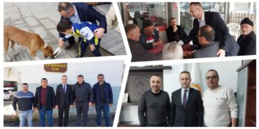 GridArt_20231214_151729376