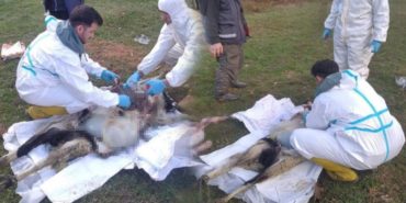 GridArt_20231220_151656741