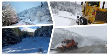 GridArt_20231224_174557779