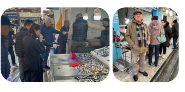 GridArt_20231229_174921505