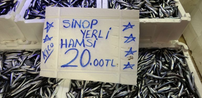 Balıkçı tezgahlarında hamsi bolluğu