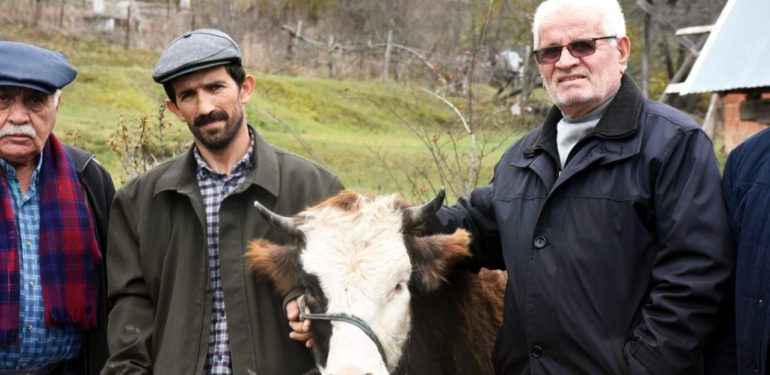 Boyabat’ta Muhtar Huzurevi İçin İneğini Bağışladı