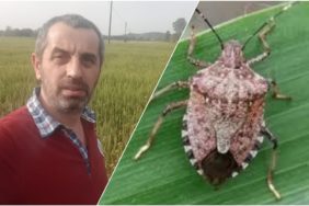 fotogrid-20231208-150142041-1