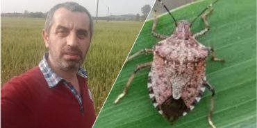 fotogrid-20231208-150142041-1