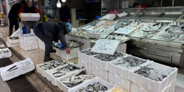 karadenizde-deniz-suyu-sicakligi-dustu-avcilik-artti