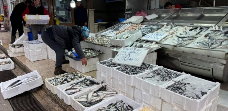 Karadeniz’de deniz suyu sıcaklığı düştü avcılık arttı