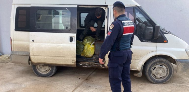 Sinop’ta 11 kaçak göçmen yakalandı…