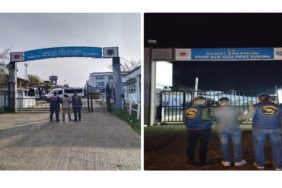 GridArt_20240105_174420042