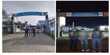 GridArt_20240105_174420042